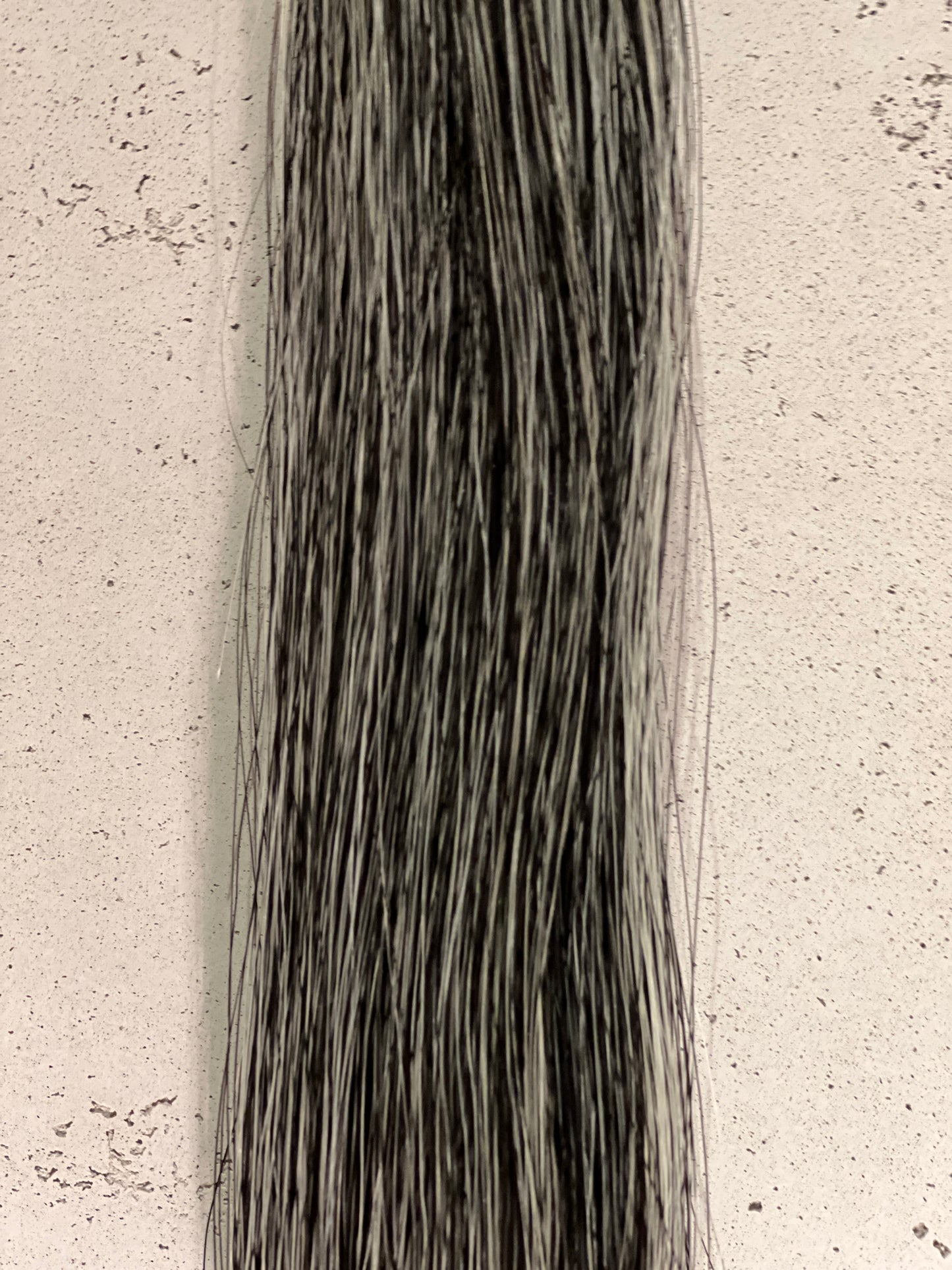 Schweifhaare dark grey (dunkler Grauschimmel) 0,5 kg